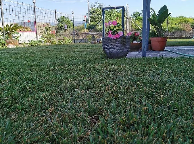 לינה וארוחת בוקר 